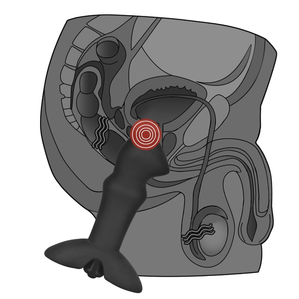 Anal Indulgence Prostate Stud Collection