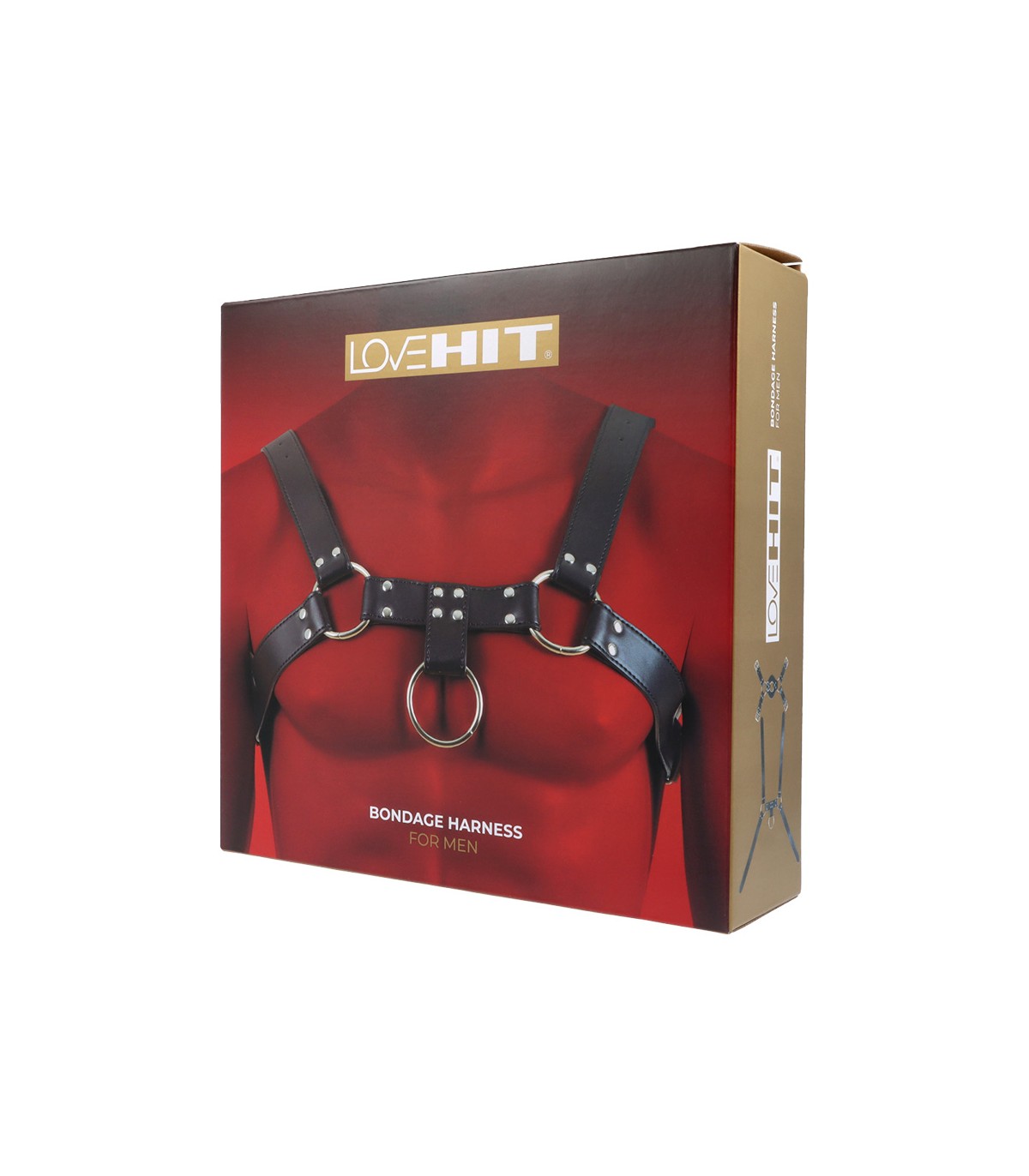 IMBRACATURA TORACICA UOMO MOD. 4