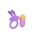 RINY VIBRATING RING WITH USB CONTROLLER IN LILAC SILICONE