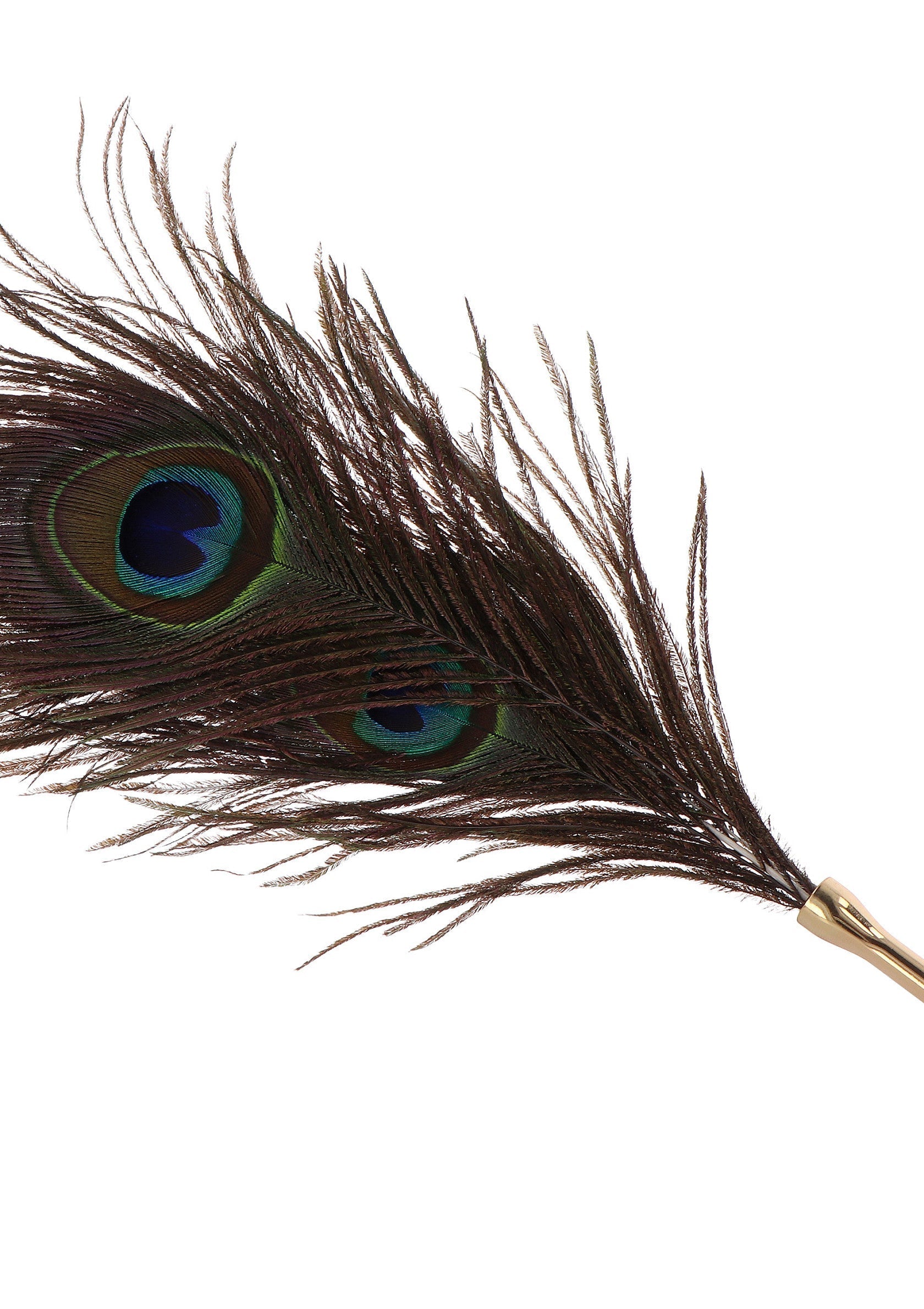 Peacock Tickler oro